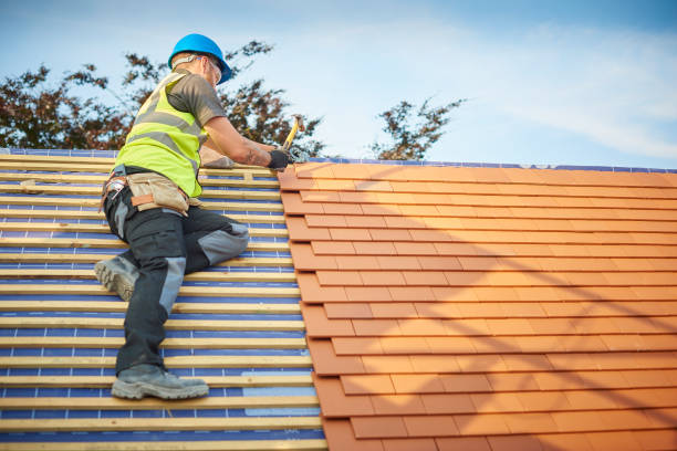 Best Metal Roofing Installation  in Monteagle, TN